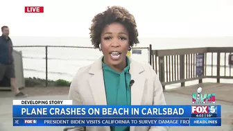 Plane Crashes On Beach In Carlsbad