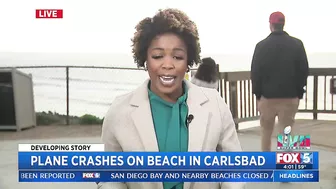 Plane Crashes On Beach In Carlsbad