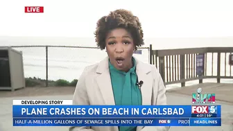 Plane Crashes On Beach In Carlsbad