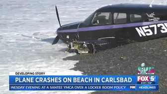 Plane Crashes On Beach In Carlsbad