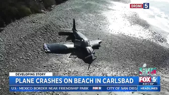 Plane Crashes On Beach In Carlsbad