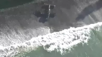 VIDEO | Plane lands on California beach