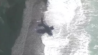 VIDEO | Plane lands on California beach