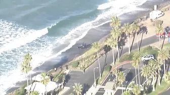 VIDEO | Plane lands on California beach