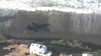 VIDEO | Plane lands on California beach