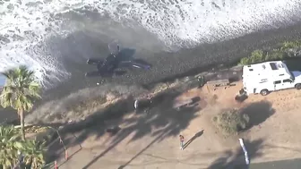 VIDEO | Plane lands on California beach