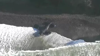 VIDEO | Plane lands on California beach