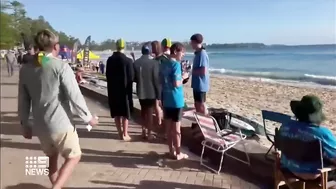 Dolphin fatally attacked by shark at Sydney's Manly Beach | 9 News Australia