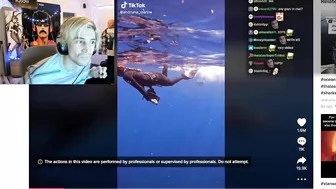 xQc was mesmerized by this tiktok...