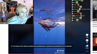 xQc was mesmerized by this tiktok...