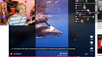 xQc was mesmerized by this tiktok...