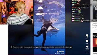 xQc was mesmerized by this tiktok...