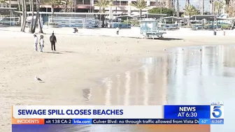 Massive raw sewage spill shuts down some Los Angeles County beaches