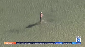 Massive raw sewage spill shuts down some Los Angeles County beaches