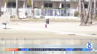 Massive raw sewage spill shuts down some Los Angeles County beaches