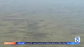 Massive raw sewage spill shuts down some Los Angeles County beaches