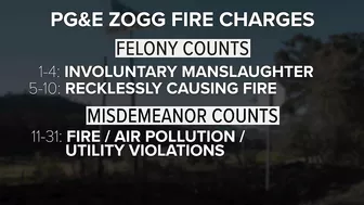 PG&E Zogg Fire hearing: Testimony over manslaughter charges stretches into day 5 | To The Point