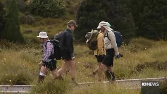 Surging visitors numbers are posing a challenge for a Tasmanian tourism icon | ABC News