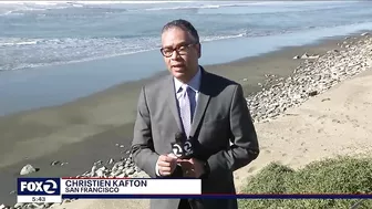 Jogger spots dog trapped under rocks at SF's Ocean Beach