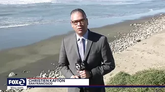 Jogger spots dog trapped under rocks at SF's Ocean Beach