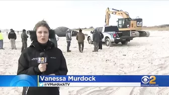 Dead whale washes ashore on Long Island beach