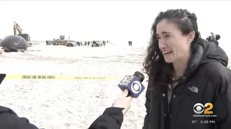 Dead whale washes ashore on Long Island beach