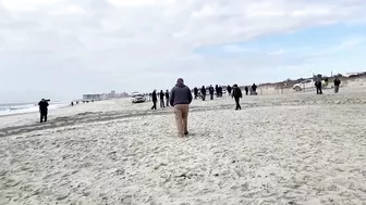 Humpback whale washes ashore on New York beach