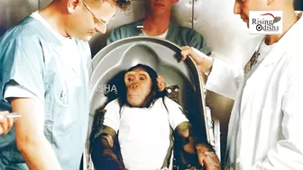 World's First Ape to Travel Space in 1961 | Space Hero 'Chimpanzee Ham' | Ham The Chimp Story | NASA