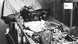 World's First Ape to Travel Space in 1961 | Space Hero 'Chimpanzee Ham' | Ham The Chimp Story | NASA