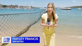 Shark spotted swimming inside netted pool at Manly beach, Sydney | 9 News Australia