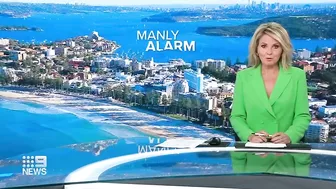 Shark spotted swimming inside netted pool at Manly beach, Sydney | 9 News Australia