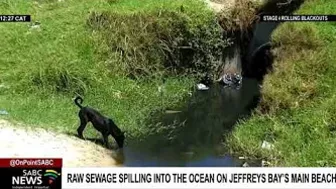 Raw sewerage spilling into the ocean on Jeffrey's Bay's main beach