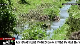 Raw sewerage spilling into the ocean on Jeffrey's Bay's main beach