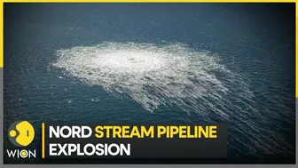 Nord Stream pipeline explosion: No clarity yet on who perpetrated attack | World News | WION