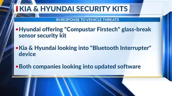 Major insurance providers not writing new policies for some Kia, Hyundai models due to car thefts