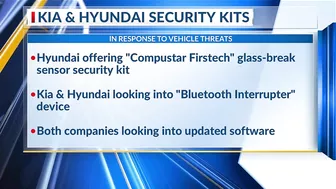 Major insurance providers not writing new policies for some Kia, Hyundai models due to car thefts