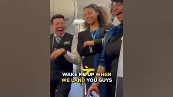 Flight Attendants React to The Sleeper Hold Travel Pillow