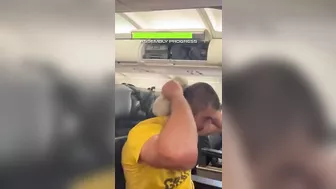 Flight Attendants React to The Sleeper Hold Travel Pillow