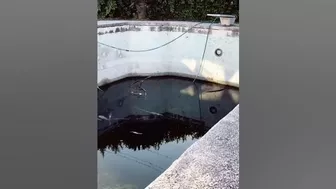 Pool Make-over Challenge ????