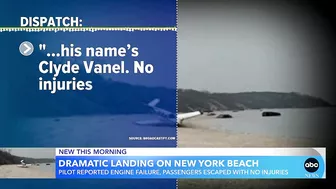 Small plane makes emergency landing on beach | GMA