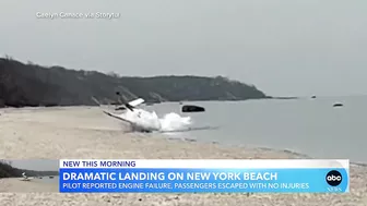 Small plane makes emergency landing on beach | GMA