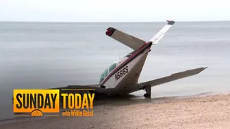 NY politician crash-lands plane on beach after engine failure