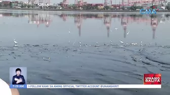 Baseco beach at Pasig River, hindi pa rin maaring paliguan dahil sa mataas na fecal coliform | UB