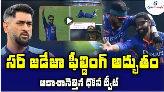 జడేజా పై ధోని ట్వీట్ | Dhoni Tweet On Ravindra Jadeja | Ind vs Aus 1st ODI highlights | Color Frames