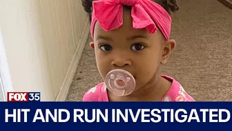 Daytona Beach toddler hit in reported hit-and-run