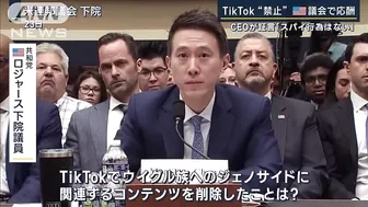 「中国共産党の武器だ」TikTok“利用禁止”アメリカ議会で応酬(2023年3月24日)