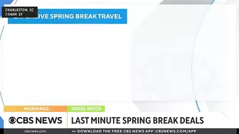 Last-minute spring break travel deals