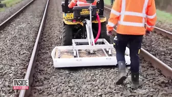 Burrowing Badgers Have Halted Train Travel