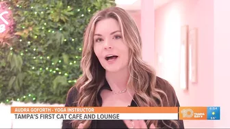 Cats and caffeine: Take a yoga class at Tampa's first cat cafe