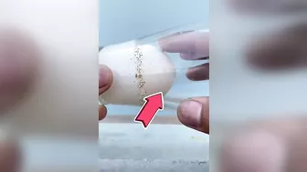 Flexible egg ????#vichitra_prani11 #ytshorts #shorts #youtubeshorts #explore #viral #trending